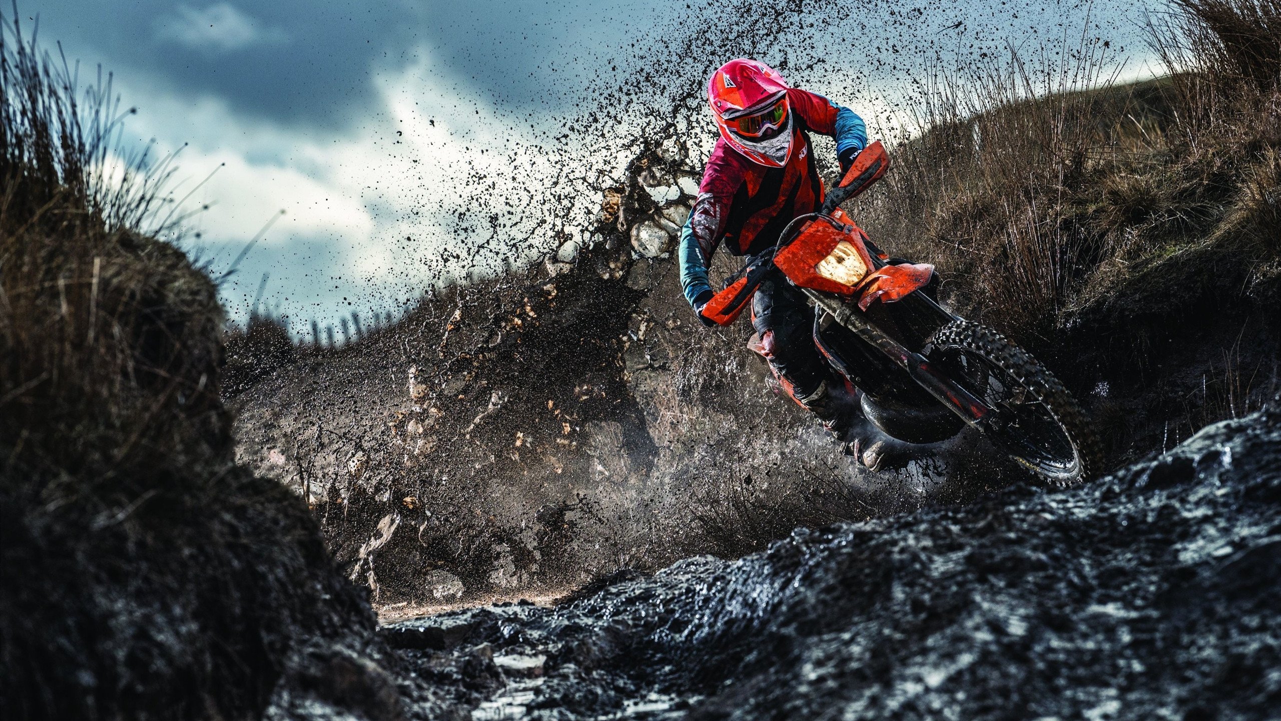 “豪车极速：性能与美学的极致表现”，豪车欣赏